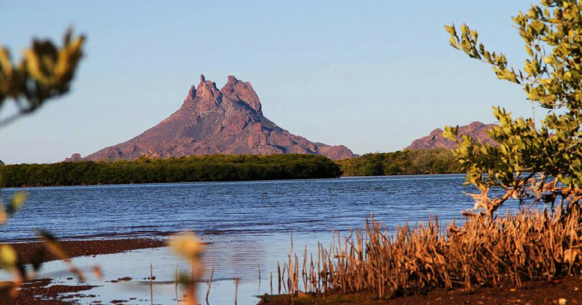 San Carlos — mirador y grupo
